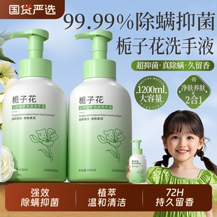 抑菌泡沫型洗手液滋润清洁儿童母婴学生家用补充装 旗舰店 官方正品