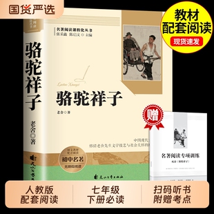 骆驼祥子和钢铁是怎样炼成正版原著老舍七年级下册必读课外书课外阅读书籍人教版初中7七下名著语文书目非完整版W经典小说文学不屈