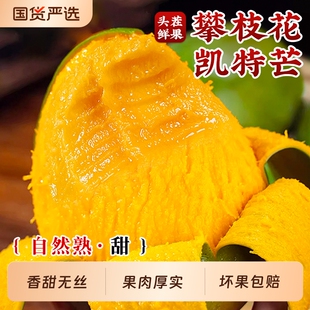 四川攀枝花凯特芒果新鲜应季水果澳芒青整箱包邮特大青果当季18斤