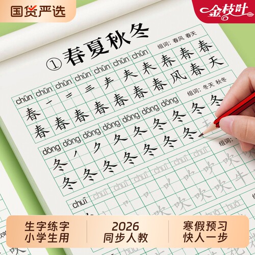 小学生同步生字练字帖人教版