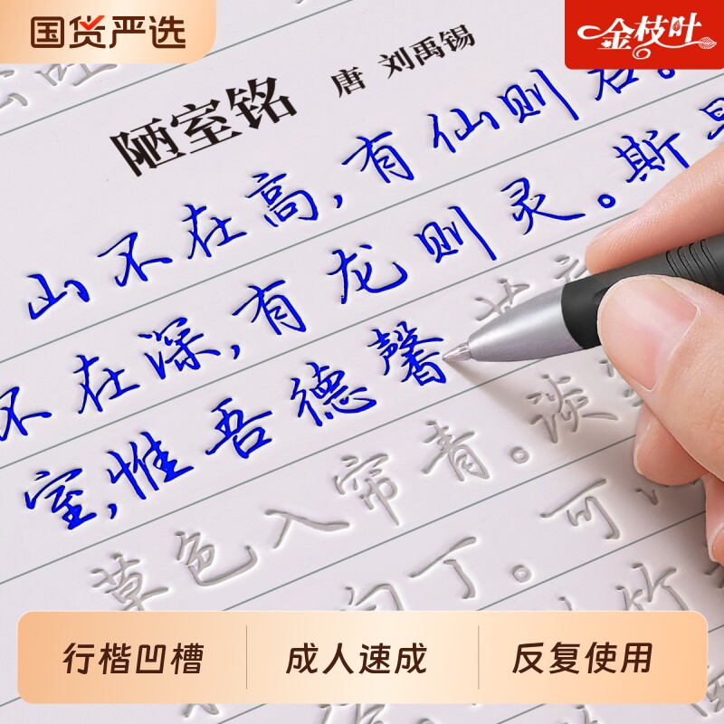 【15天练好字】行楷字帖成人练字专用凹槽练字帖行书字帖反复使用练习成年速成男女生大人静心硬笔书法练字本