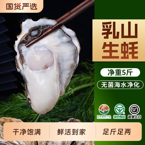 贝司令乳山鲜活生蚝顺丰包邮