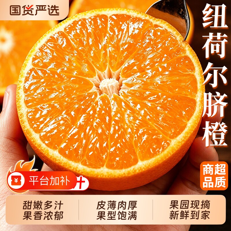 正宗纽荷尔脐橙新鲜水果现摘手剥橙子高山冰糖甜橙应当季整箱包邮