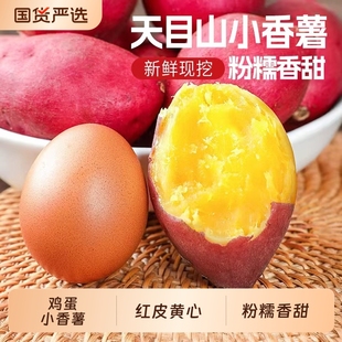 薯小萌临安天目山新鲜红薯黄心番薯粉糯香甜皮薄如纸产地蒸煮鸡蛋
