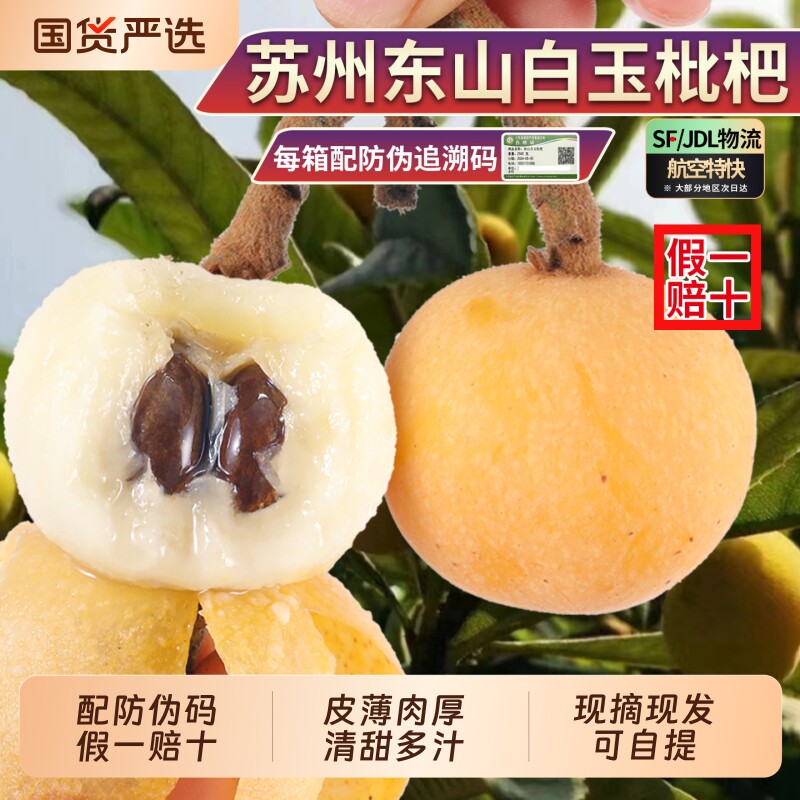 【超甜大果】正宗苏州东山白玉枇杷大果新鲜水果孕妇白枇杷果礼盒