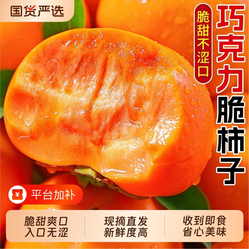 阳丰巧克力脆柿正宗甜脆柿当季新鲜硬柿子树上脱涩果园现摘直达