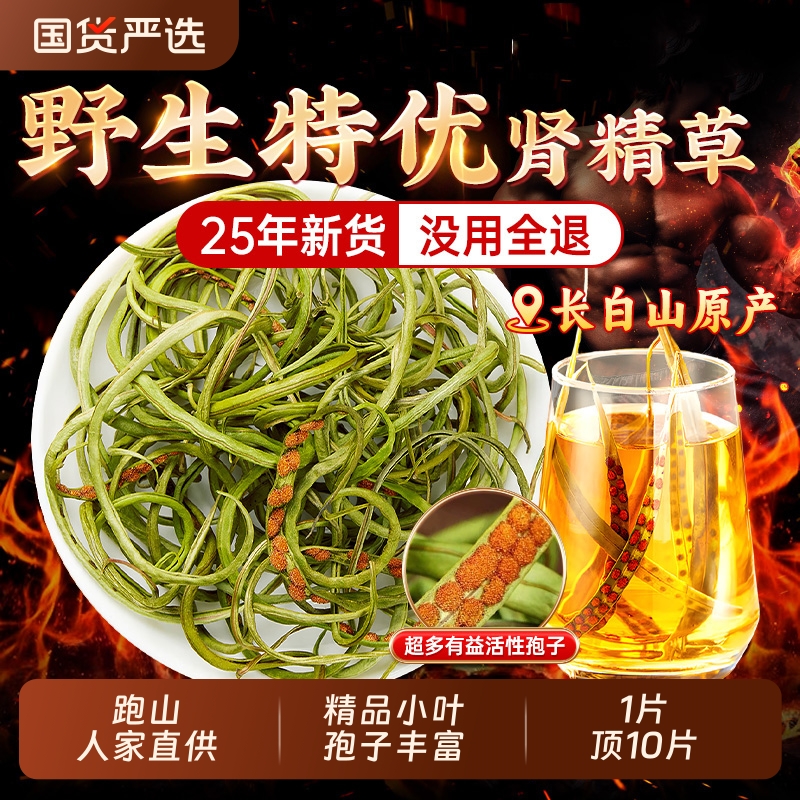 特级肾精茶肾精草长白山野生黄金化石草嗷嗷叫养生茶正品官方旗舰