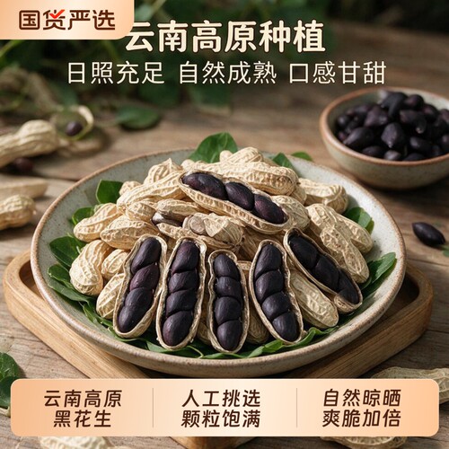 云鲜赞云南富硒黑花生黑皮花生新货炒熟晒干带壳健康油炸特色普洱
