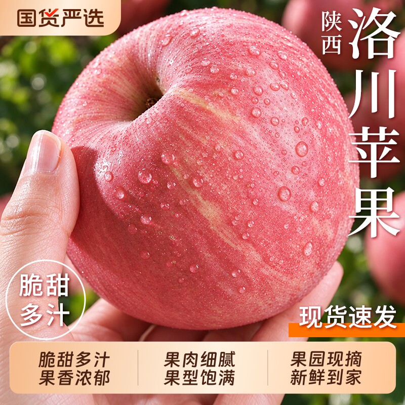 洛川苹果陕西正宗红富士新鲜水果现摘脆甜平果应当季糖心整箱包邮