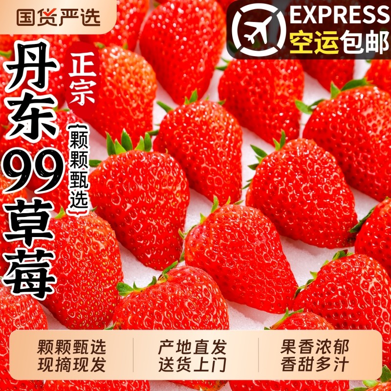 正宗丹东 99草莓现摘现发果大饱满颗颗精选丹东 红颜草莓产地直发