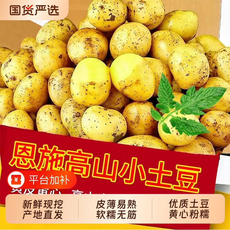 恩施小土豆新鲜现挖黄心土豆商用迷你高山洋芋珍珠马铃薯整箱包邮