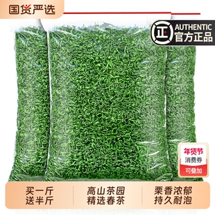 绿茶发1.5斤 2025新茶叶春茶毛尖茶浓香型高山云雾散装官方旗舰店