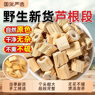 野生芦根中药材正品新鲜芦苇根