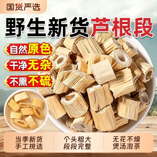 野生芦根中药材正品新鲜芦苇根