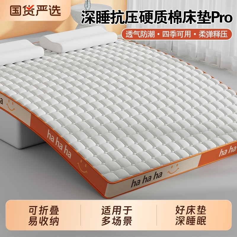 加厚床垫软垫宿舍学生单人家用卧室床褥垫租房专用折叠榻榻米褥子