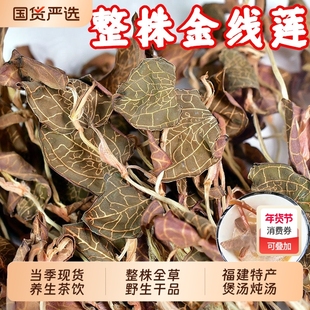 福建土楼野生金线莲整株干品中药材养肝护肝南靖红霞金线莲养生茶
