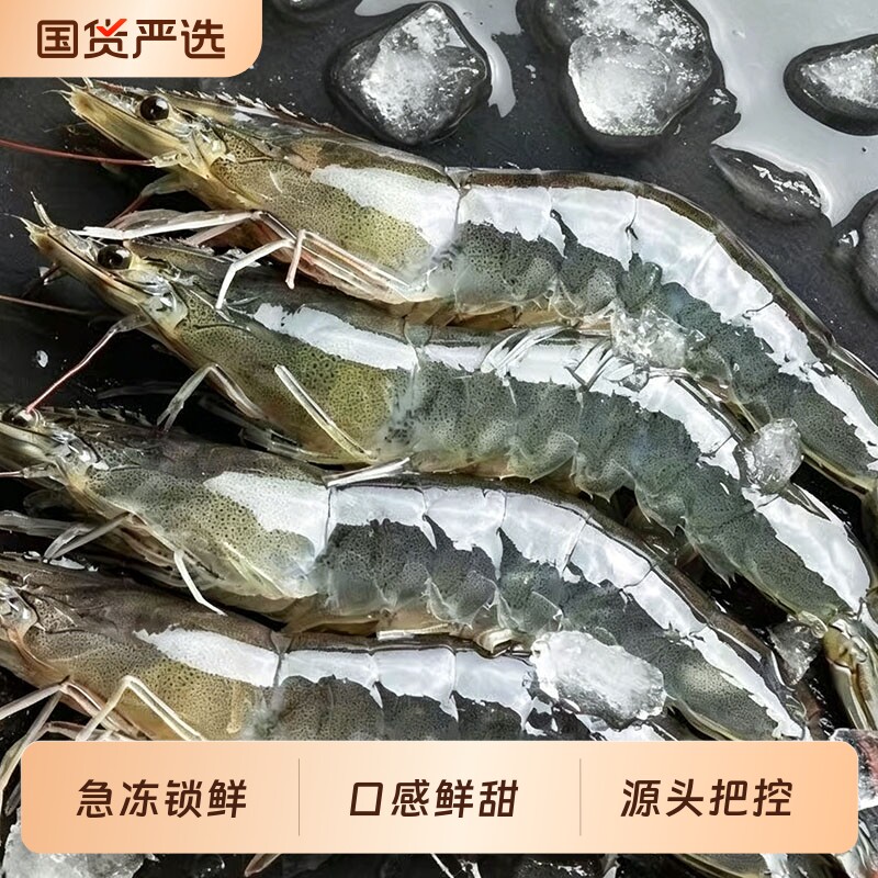 厄瓜多尔白虾大虾鲜活速冻盐冻2030南美白虾基围虾海虾对海鲜冷冻