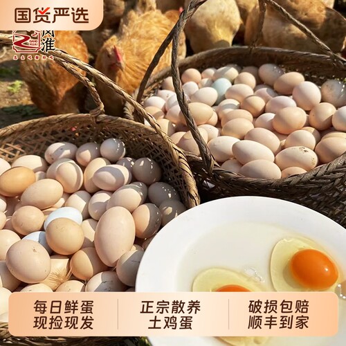 岗淮鸡蛋农家土鸡蛋谷物鲜乌鸡蛋正宗林地散养新鲜柴笨虫草现捡