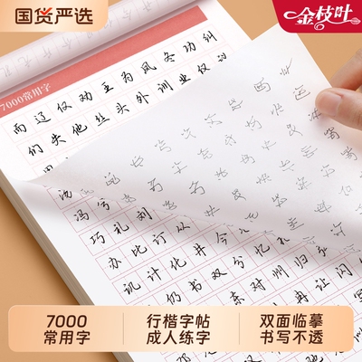 行楷字帖成人练字临摹速成套装