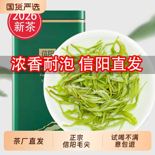 毛尖绿茶信阳毛尖2026新茶雨前高山嫩芽500g浓香型散装春茶叶炒青