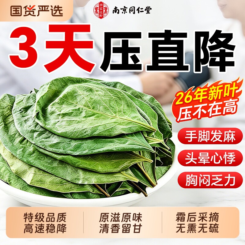 南京同仁堂特级柿子叶茶干中药材降野生血霜后无硫压茶官方旗舰店
