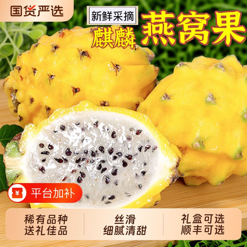 新鲜燕窝果麒麟果热带水果黄皮火龙果清甜丝滑稀有顺丰送礼品种