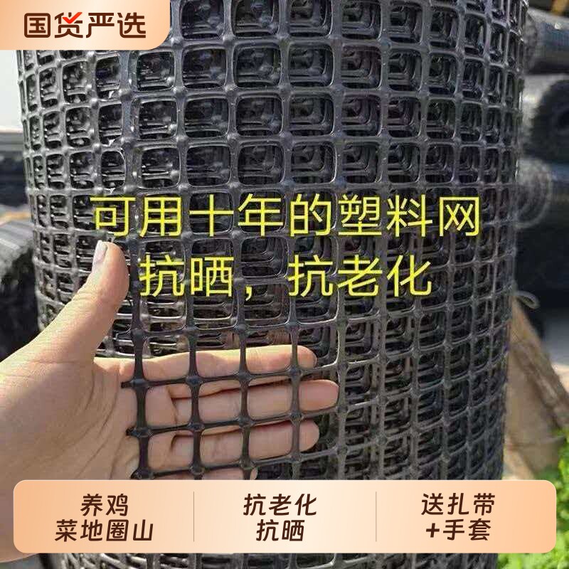 养鸡塑料围栏网网格拦鸡网家用玉米养殖网鱼塘防护网围栏栅栏户外