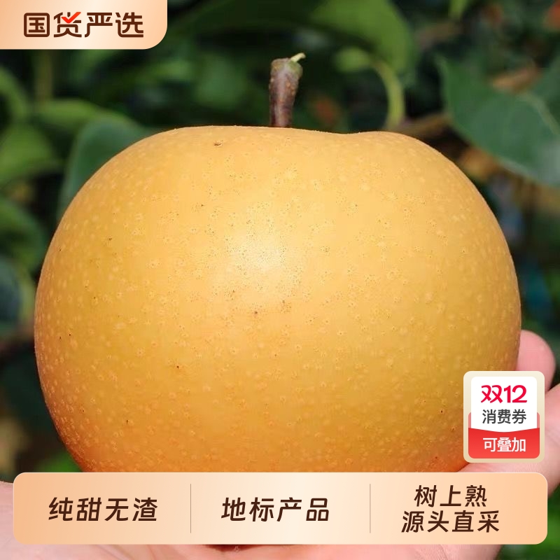 正宗圆黄梨多汁鲜果|155人收藏