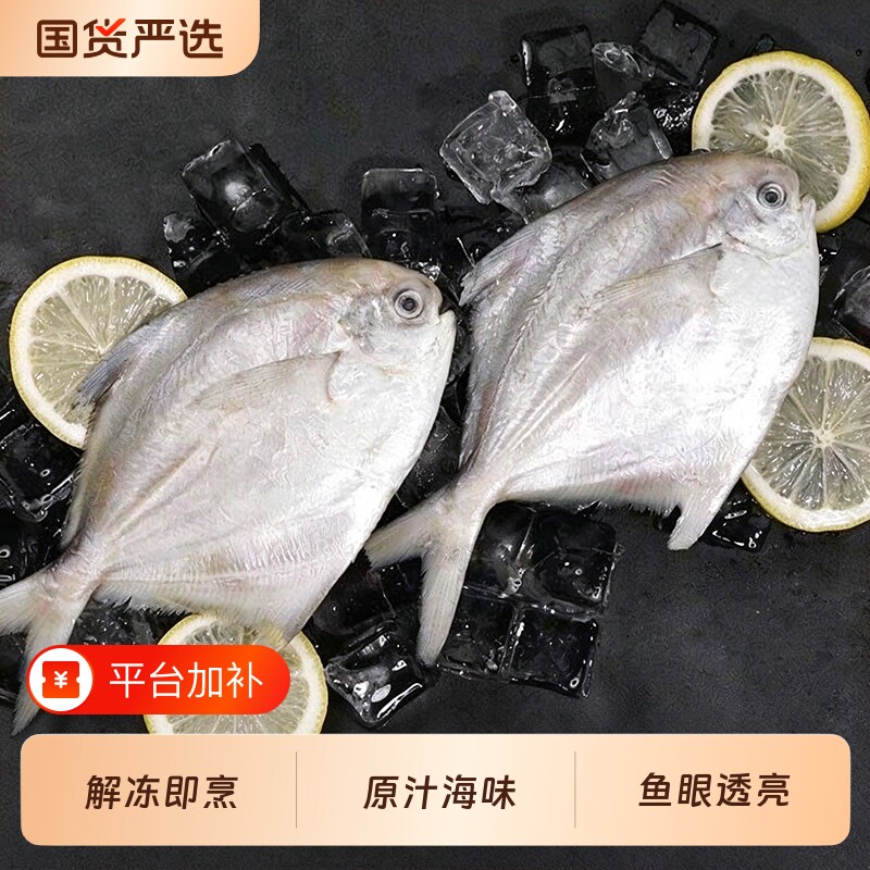 鲜活速冻小银鲳冷冻白鲳平鱼油炸小鲳鱼家常红烧海鱼餐桌美味海鲜