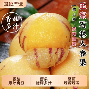 新鲜人参果清甜爆汁云南人参果树上熟当季现摘现发圆果黄肉