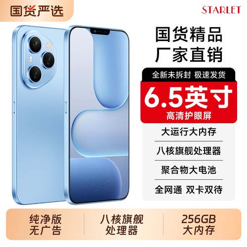 智能手机全网通6.5英寸大屏幕256GB大内存八核处理器千元学生机电竞游戏办公备用机老人机STARLET当天发货