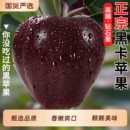 黑卡黑钻苹果水果9斤黑钻红蛇果新鲜当季 脆甜冰糖甘肃圣诞平安果