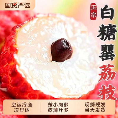 正宗白糖罂荔枝新鲜现摘现发水果当季整箱顺丰冷链包邮荔枝大果王