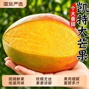 攀枝花凯特芒大芒果新鲜水果当季整箱四川忙果甜大澳芒包邮热带