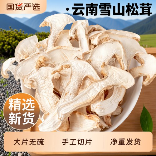 云南特产云南雪山松茸松茸菇干货干片500g菌菇新鲜菌子菌类煲汤