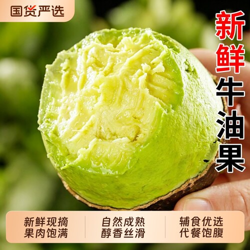 即食熟牛油果秘鲁进口哈斯新鲜水果辅食鲜鳄梨商用批发熟透超大果