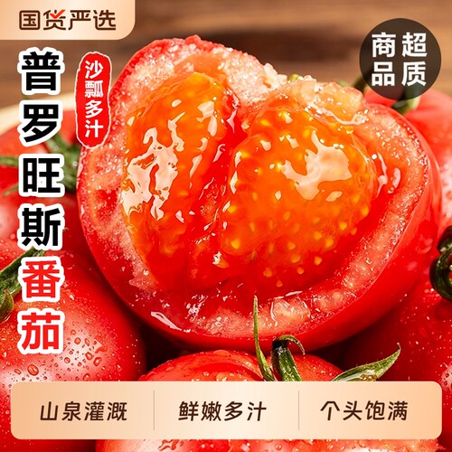 陕西泾阳普罗旺斯西红柿沙瓢多汁