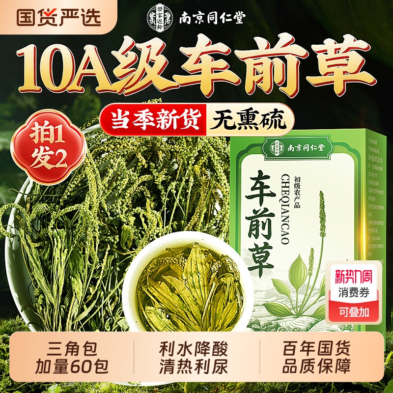 同仁堂信盛堂车前草野生中药尿降酸泡水喝干货官方旗舰店正宗正品