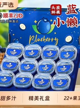云南高山花香蓝莓l25新鲜水果特大果当季整箱小懒杯礼盒blueberry