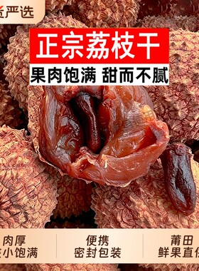 新鲜正宗荔枝干带壳新货非特级核小肉厚福建特产干货零食优质干果