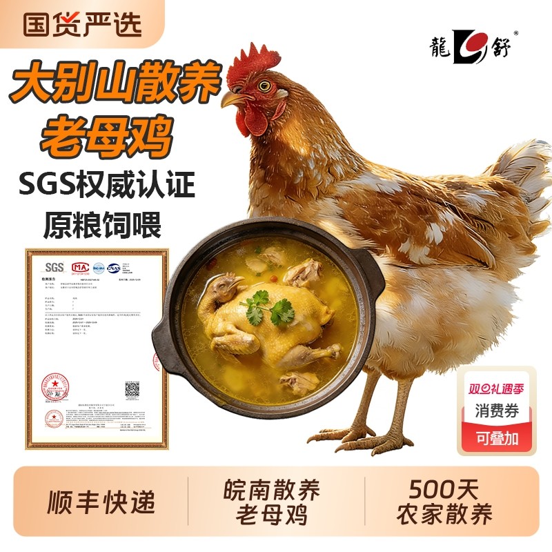 大别山土鸡农家散养老母鸡走地鸡皖南深山散养新鲜现杀生鲜鸡整只
