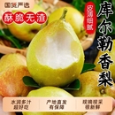 次日 包邮 正宗新疆库尔勒香梨整箱梨子新鲜水果全母梨应当季 酥脆