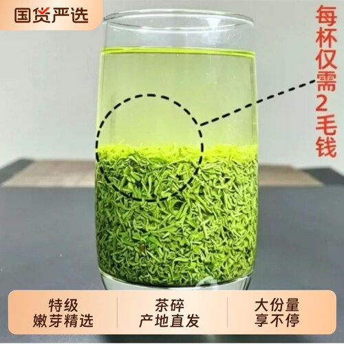 2026信阳毛尖碎茶新茶叶特级明前嫩芽茶末散装口粮茶500g炒青精品
