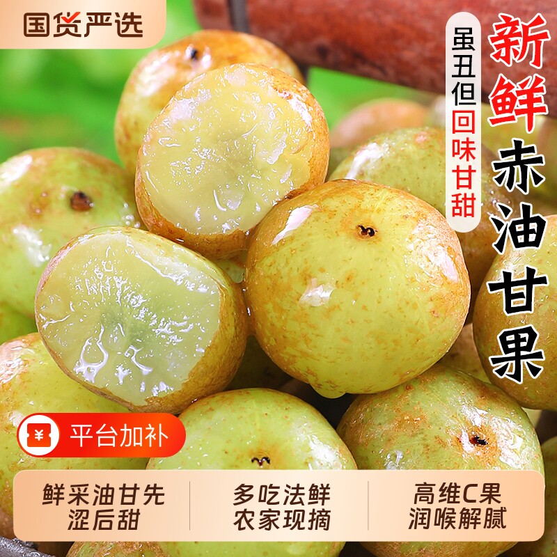 新鲜赤油甘果当季水果余甘果牛甘子现摘油柑滇橄榄酸甜鲜果包邮