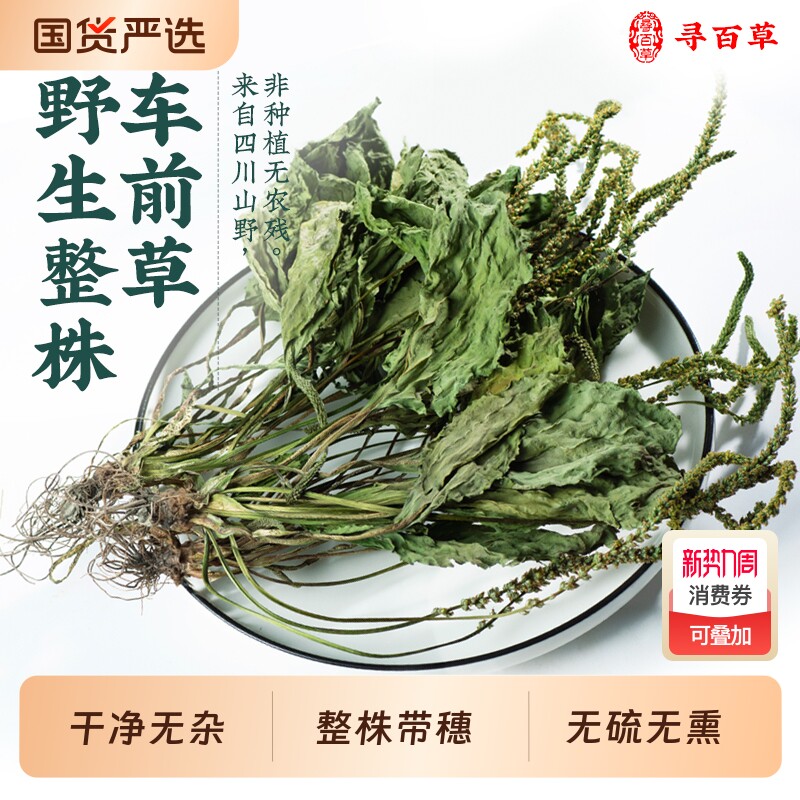 车前草野生新鲜中药材车前草切段泡水喝的功效新货搭蒲公英夏枯草