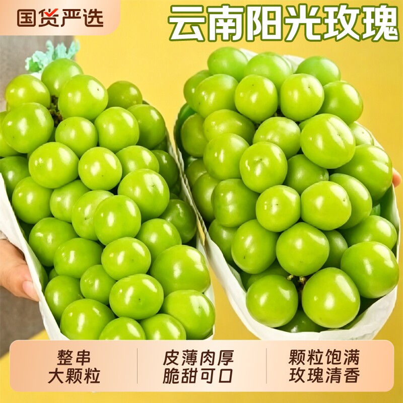 阳光玫瑰葡萄无籽香印提子青提晴王新鲜水果当季鲜果京东包邮