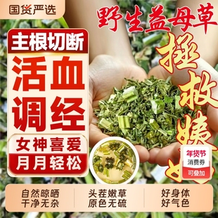 正宗野生益母草中药材益母草茶调经姨妈官方旗舰店野生干草泡脚