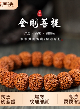 菩提小金刚手串男士文玩