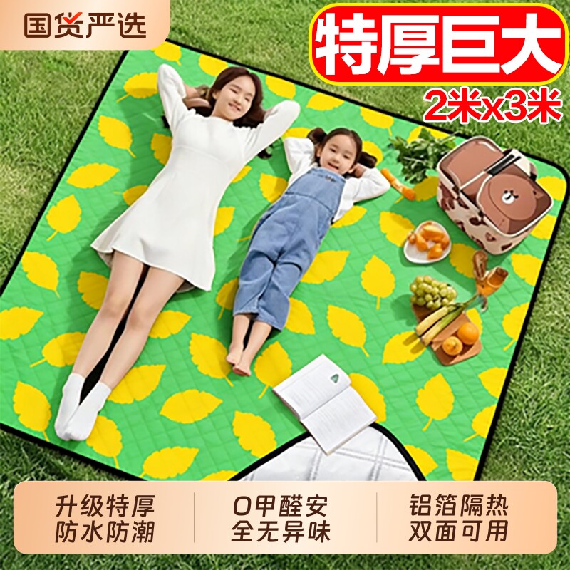 野餐垫户外防潮垫防水加厚便携徒步沙滩垫便携露营野炊草坪地垫子
