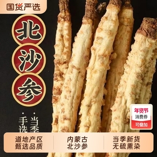 沙参中药材正宗内蒙古北沙参正品无硫沙参玉竹沙参个整条野生煲汤